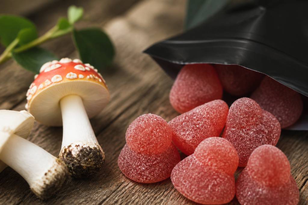Muscimol gummies : effets, risques et cadre légal en France
